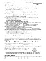 ĐỀ KIỂM TRA SỐ 2 NĂM HỌC 2010 -2011 doc