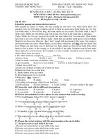 ĐỀ KIỂM TRA CHẤT LƯỢNG HỌC KỲ II MÔN TIẾNG ANH LỚP 10 ( Chương trình nâng cao ) pptx