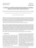 Báo cáo lâm nghiệp: 