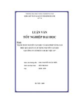 Hạch toán nguyên vật liệu và giải pháp nâng cao hiệu quả quản lý, sử dụng nguyên vật liệu tại công ty cổ phần y dược việt an