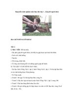 Sáng kiến kinh nghiệm môn Đạo đức lớp 1 – Giúp đỡ người khác docx