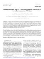 Báo cáo lâm nghiệp: 