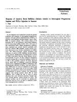 Báo cáo khoa học: 