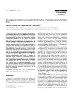 Báo cáo khoa học: 