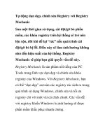 Tự động dọn dẹp, chỉnh sửa Registry với Registry Mechanic docx
