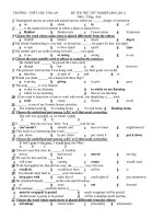 ĐỀ THI THỬ TỐT NGHIỆP (2010-2011) Môn : Tiếng Anh pps