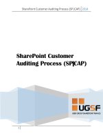 sharepoint 2013- sharepoint customer audit process
