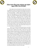 Giáo trình tổng hợp những căn bệnh nguy hiểm của thế giới phần 1 pdf
