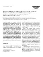 Báo cáo khoa học: 