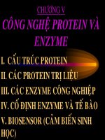 NHẬP MÔN CÔNG NGHỆ SINH HỌC - CHƯƠNG 5 pps