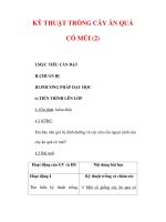 Giáo án Công nghệ lớp lớp 9 : Tên bài dạy : KỸ THUẬT TRỒNG CÂY ĂN QUẢ CÓ MÚI (2) pptx