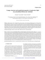 Báo cáo lâm nghiệp: 