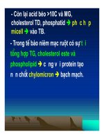 Bài giảng hấp thu các chất ở ruột non và chức năng gan part 3 ppt