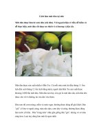 Cách làm mứt dừa tại nhà ppsx