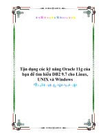 Tận dụng các kỹ năng Oracle 11g của bạn để tìm hiểu DB2 9.7 cho Linux, UNIX và Windows docx