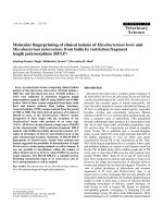 Báo cáo khoa học: 