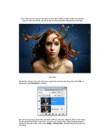 Giáo trình tổng hợp các cách để đưa hình ảnh vào ảnh bằng photoshop phần 5 ppsx