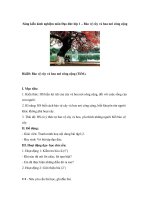 Sáng kiến kinh nghiệm môn Đạo đức lớp 1 – Bảo vệ cây và hoa nơi công cộng ppt