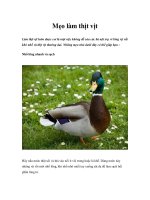 Mẹo làm thịt vịt pot