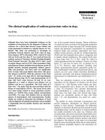 Báo cáo khoa học: 