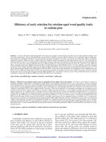 Báo cáo lâm nghiệp: 