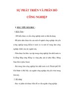 Giáo án Địa lý lớp 9 : Tên bài dạy : SỰ PHÁT TRIỂN VÀ PHÂN BỐ CÔNG NGHIỆP ppt