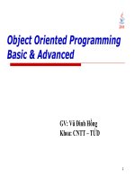 Object Oriented Programming ppsx