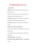 Giáo án Vật lý lớp 9 : Tên bài dạy : TỪ PHỔ-ĐƯỜNG SỨC TỪ. pptx