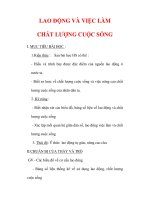 Giáo án Địa lý lớp 9 : Tên bài dạy : LAO ĐỘNG VÀ VIỆC LÀM CHẤT LƯỢNG CUỘC SỐNG pot