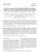 Báo cáo lâm nghiệp: 