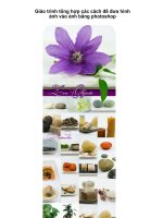 Giáo trình tổng hợp các cách để đưa hình ảnh vào ảnh bằng photoshop phần 1 pot