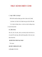 Giáo án Công nghệ lớp lớp 9 : Tên bài dạy : THỰC HÀNH CHIẾT CÀNH pot