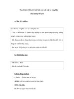 Thực hành vẽ biểu đồ tình hình sản xuất một số sản phẩm công nghiệp thế giới pps