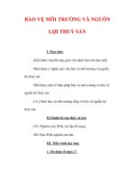 Giáo án Công nghệ lớp 7 : Tên bài dạy : BẢO VỆ MÔI TRƯỜNG VÀ NGUỒN LỢI THUỶ SẢN docx