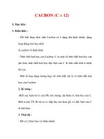 Giáo án Hóa học lớp 9 : Tên bài dạy : CACBON (C = 12) ppt