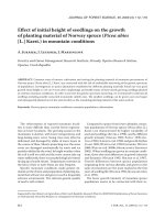 Báo cáo lâm nghiệp: 