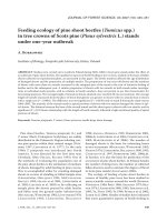 Báo cáo lâm nghiệp: 