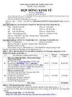 HDKT NHNN & PT Máy in 49.780.000 ppsx