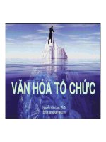 Bài giảng: Văn hóa tổ chức potx
