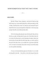 KINH NGHIỆM SOẠN MỘT TIẾT THỰC HÀNH doc