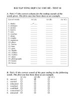 BÀI TẬP TỔNG HỢP CÁC CHỦ ĐỀ - TEST 14 docx