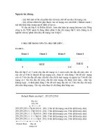 Giới thiệu IP version v4 phần 4 potx