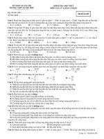 KIỂM TRA MỘT TIẾT MÔN VẬT LÝ 12 BAN CƠ BẢN Mã đề thi 209 ppt