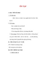 Giáo án Địa lý lớp 9 : Tên bài dạy : ÔN TẬP doc