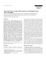 Báo cáo khoa học: 