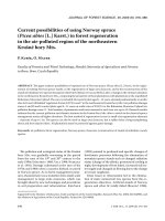 Báo cáo lâm nghiệp: 