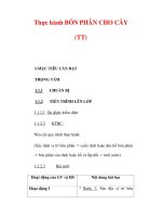 Giáo án Công nghệ lớp lớp 9 : Tên bài dạy : Thực hành BÓN PHÂN CHO CÂY (TT) potx