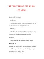Giáo án Công nghệ lớp lớp 9 : Tên bài dạy : KỸ THUẬT TRỒNG CÂY ĂN QUẢ CÓ MÚI(1) ppsx