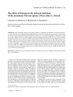 Báo cáo lâm nghiệp: 