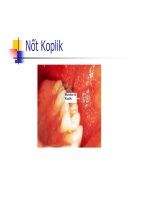 Bài giảng Viêm Họng part 2 ppsx